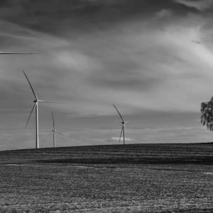 Überall Windräder 3 BW.jpg