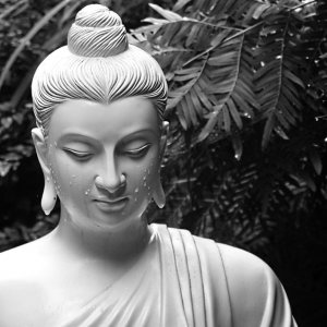 buddha_1200.jpg