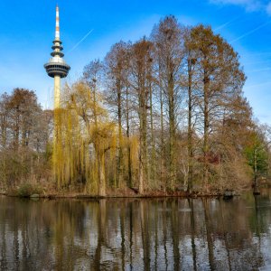 a walk in the park_1200.jpg