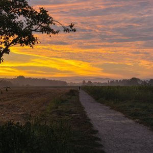 sonnenaufgang_1200.jpg