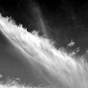 Cirruswolke BW.jpg