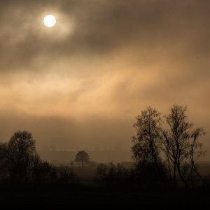 Nebel über den Seewiesen (1 von 1).jpg