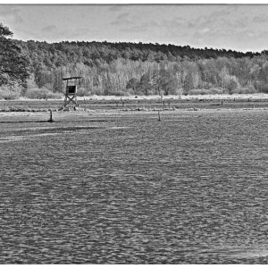 Hochsitz am Wasser_BW.jpg