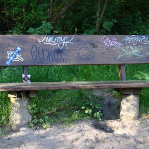 bank_wald.jpg