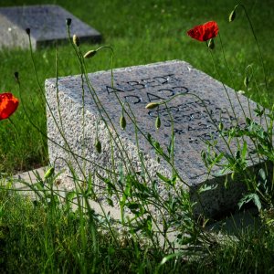 friedhof_soldat.jpg
