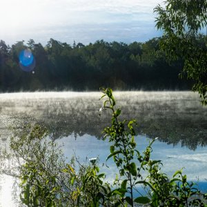 see_panorama.jpg