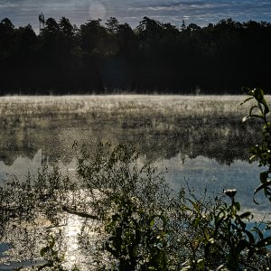 morgens_am_see.jpg