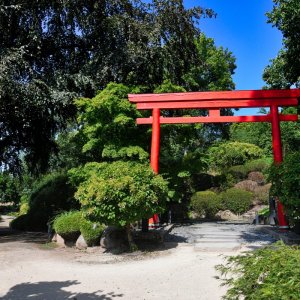 japanischer_garten_01.jpg