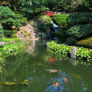 japanischer_garten_05.jpg