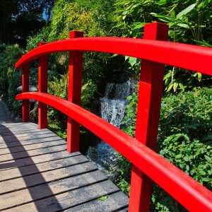 japanischer_garten_07.jpg