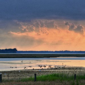 insel_poel_2016.jpg