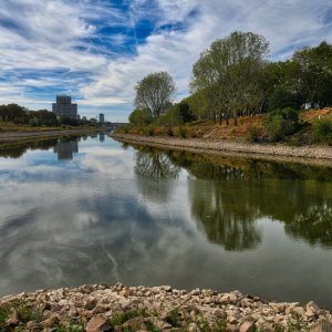 mannheim_neckar_02.jpg
