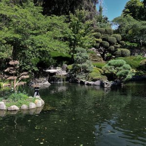 Japanischer Garten.jpg