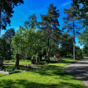friedhof_käfertal.jpg