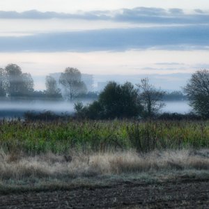 herbst_nebel.jpg