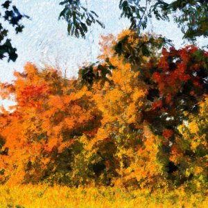 herbst_gemählte.jpg