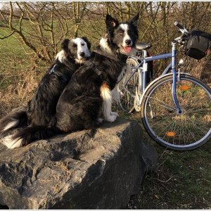 Warten auf den Frühling