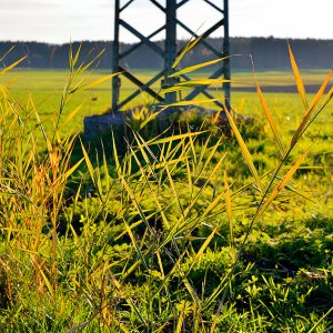 DSC_8925