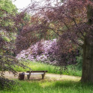 20160526_DSC0758 Rastplatz_bearbeitet-1