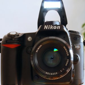 D80-original