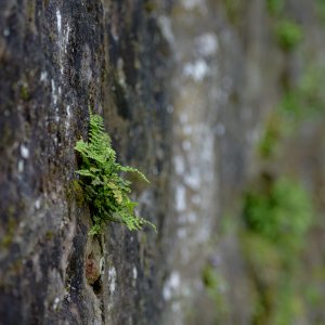 Wissembourg_023