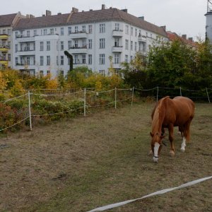20151006_094229