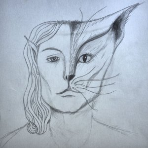Face