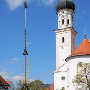 DSC_9073T