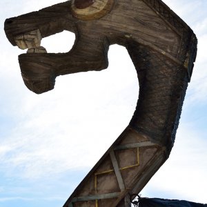 DSC_7794