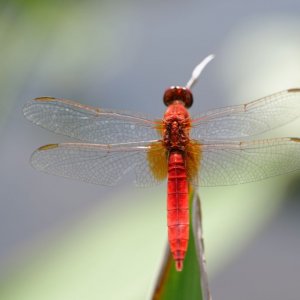 20150812_132244