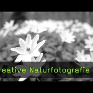 Kreative Naturfotografie 4 - YouTube