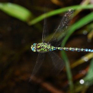 DSC_5633