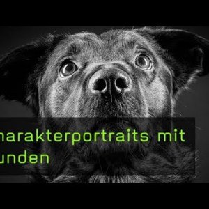Charakterportraits mit Hunden - YouTube