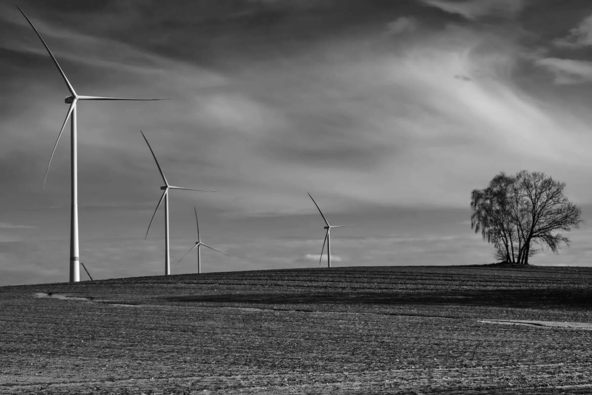 Überall Windräder 3 BW.jpg