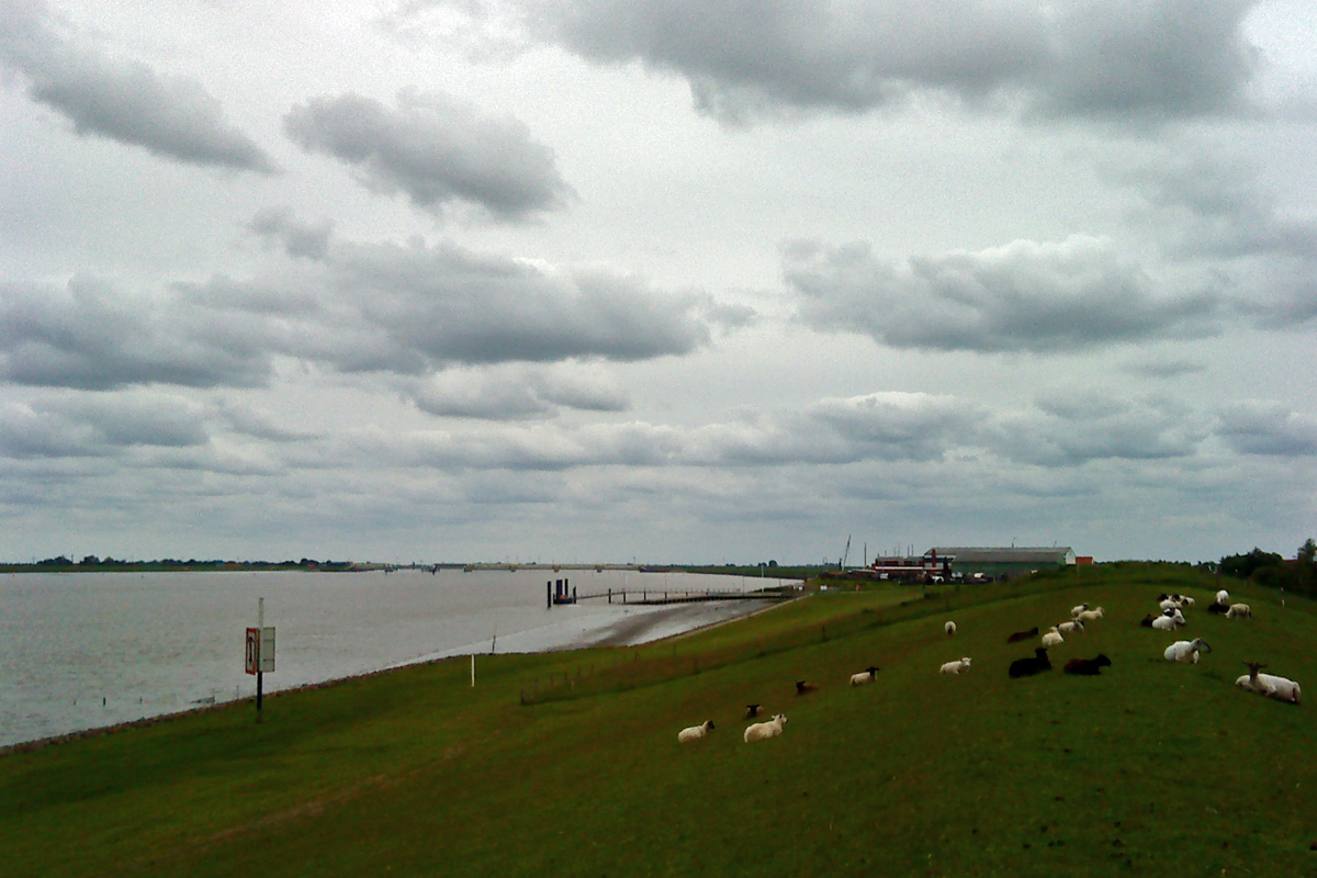 20120603_160935_nf.jpg