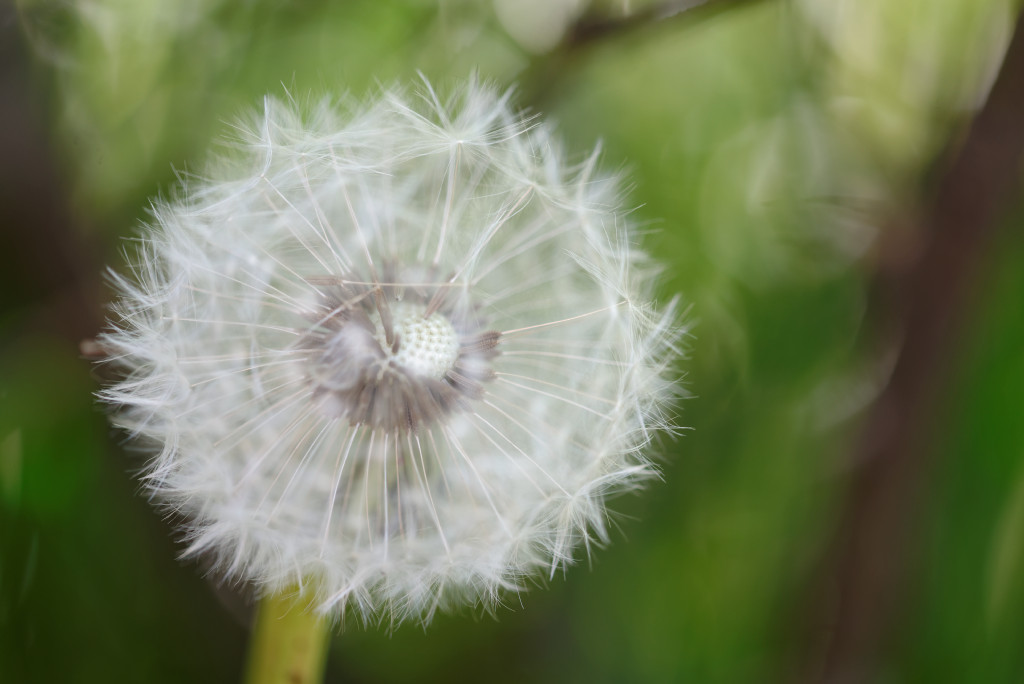 20140503_140259