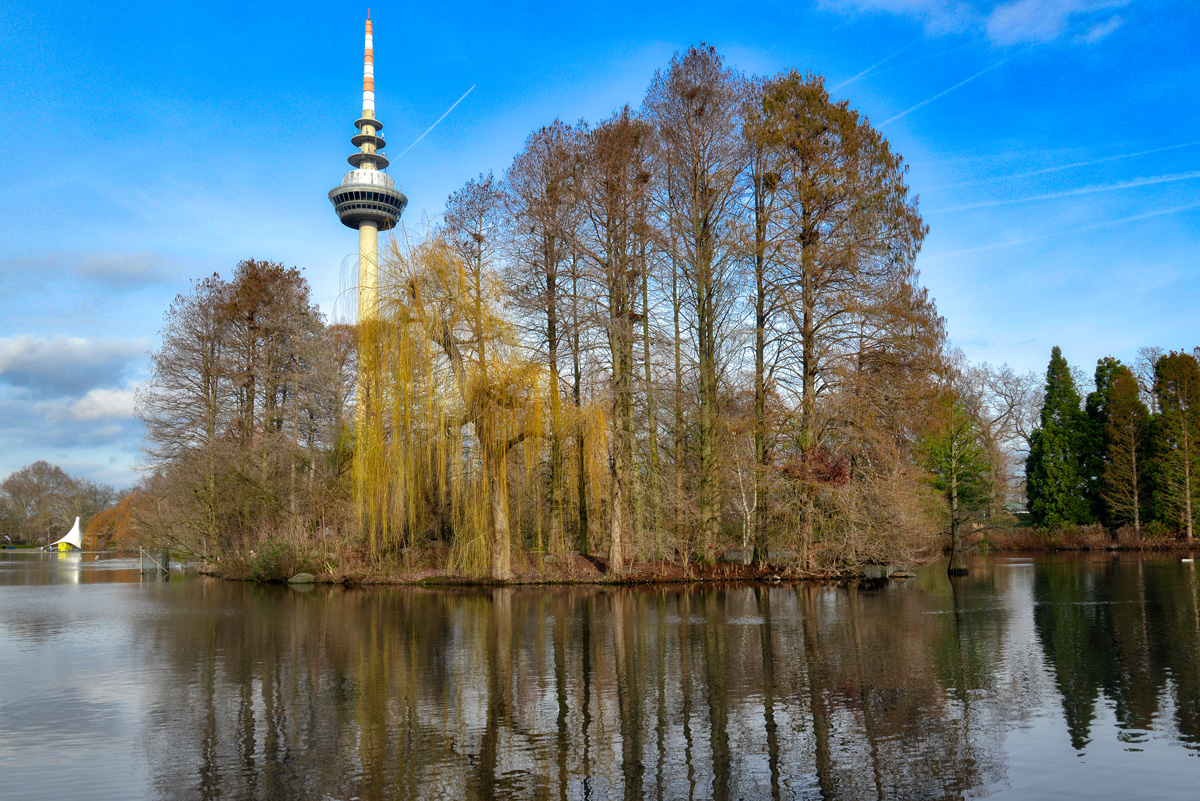 a walk in the park_1200.jpg