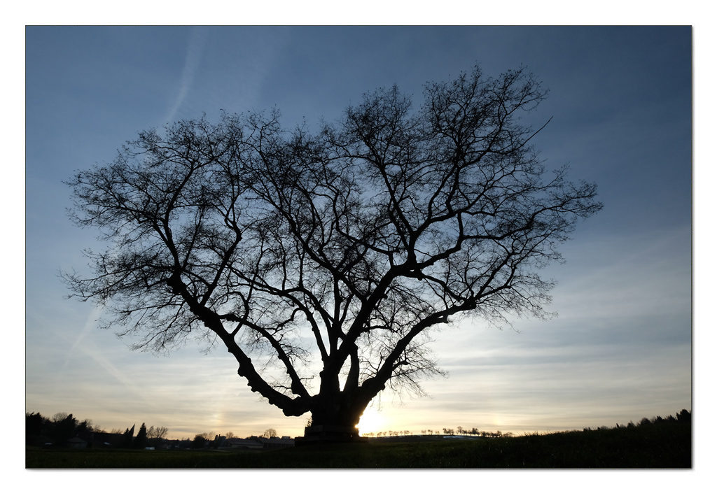 Abendspaziergang im Winter