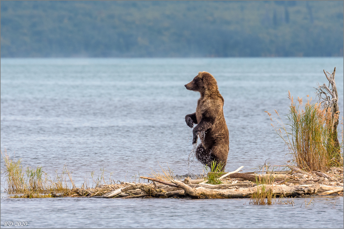 Alaska_2018-2881.jpg