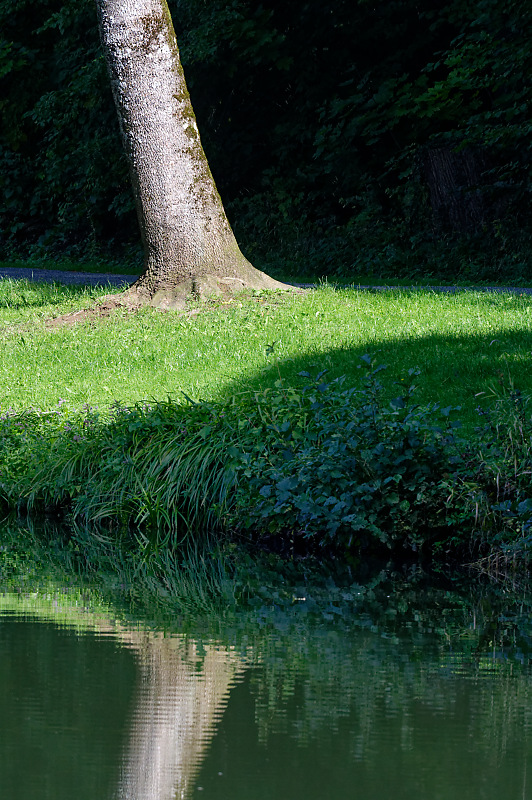 Allein am Ufer.jpg
