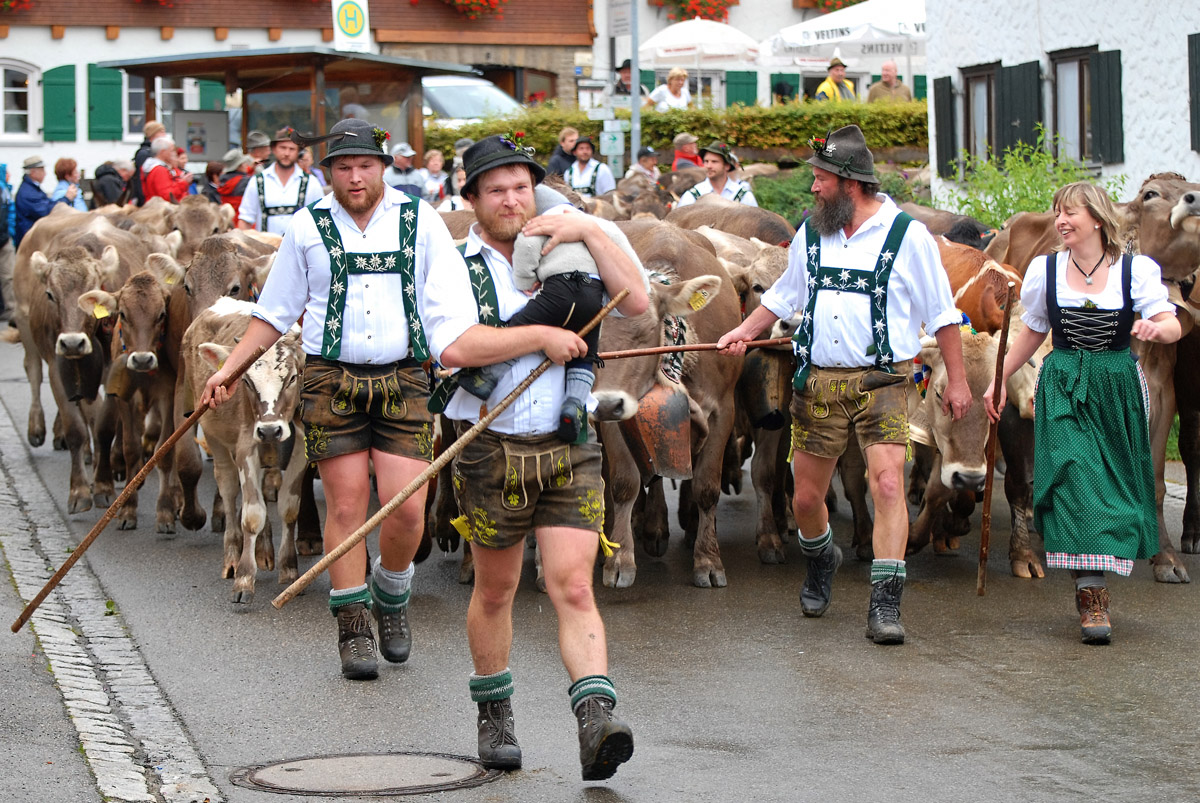 almabtrieb_obermeiselstein_1200.jpg