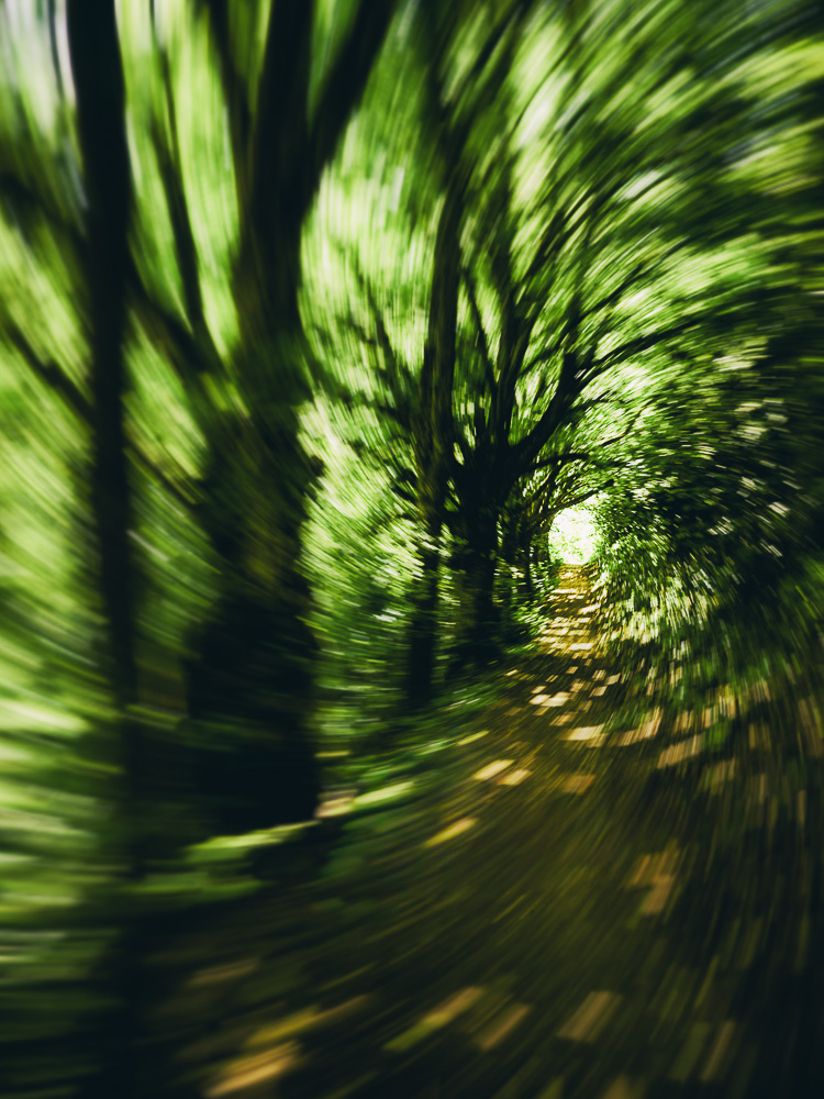 Am Ende des Tunnels