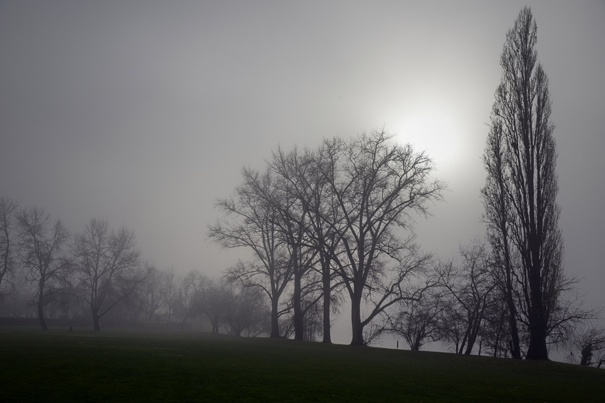 am_neckar_1200.jpg