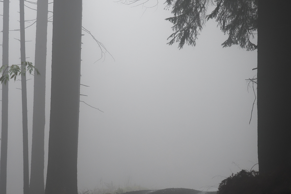 An der Kuppe.jpg