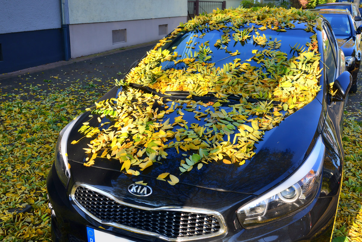 auto_herbst_1200.jpg