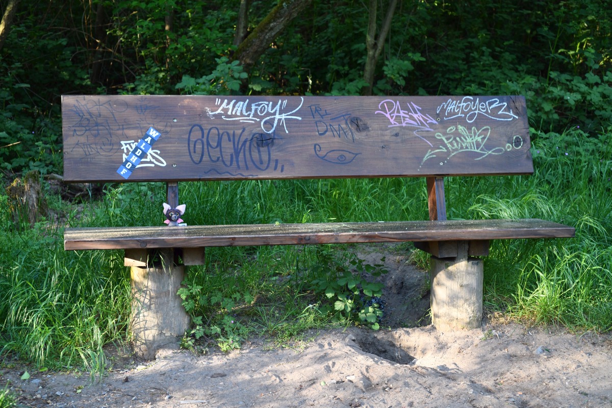 bank_wald.jpg