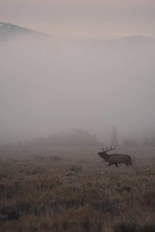 Bergnebel.jpg