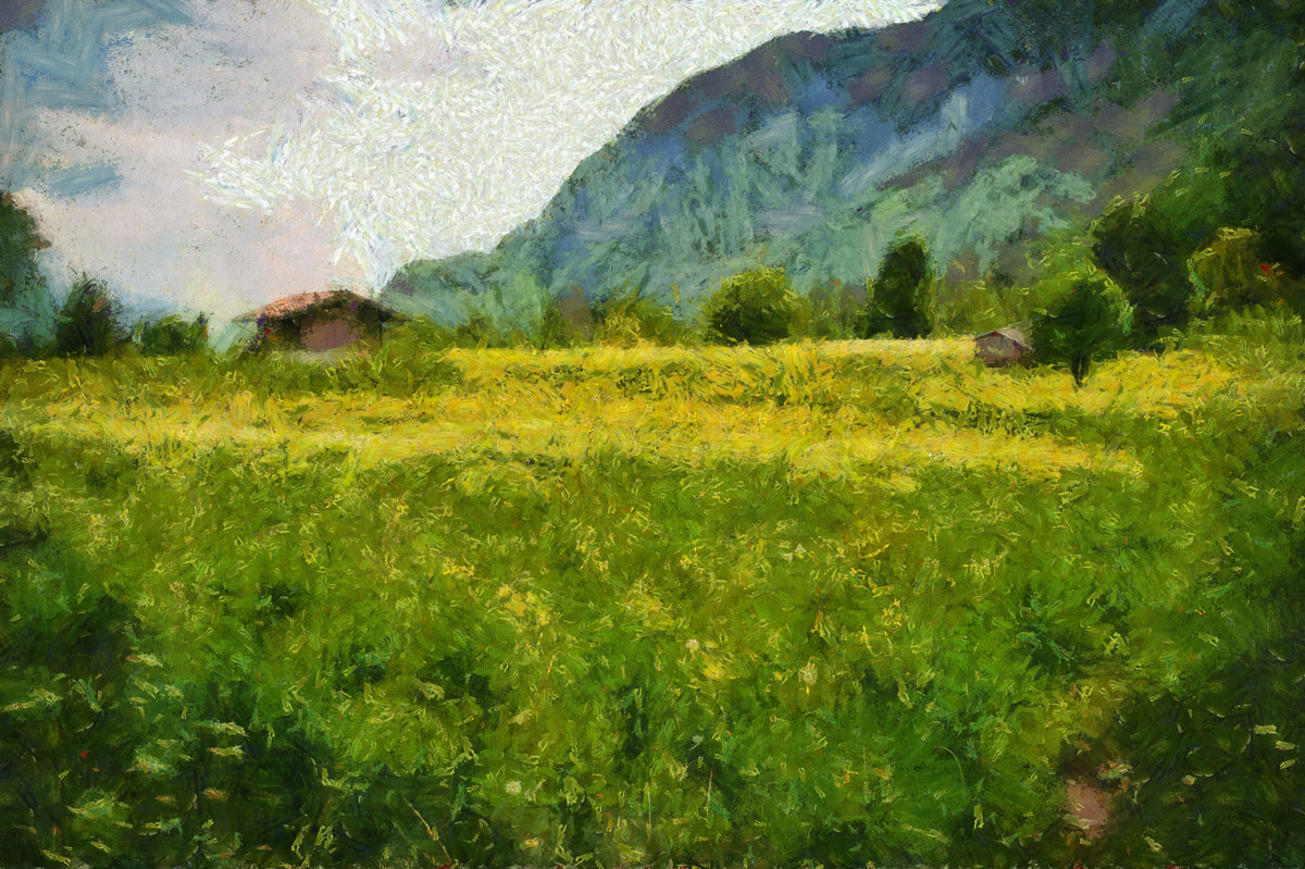 bergwiese_DAP_Monet_1200.jpg