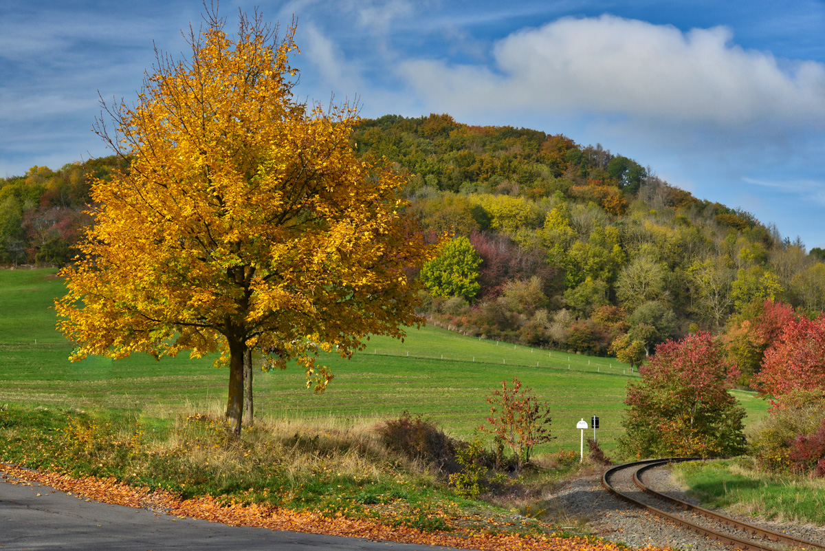 Bunte Blätterfarbenpracht_1200.jpg
