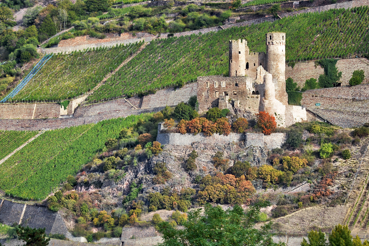 Burg Ehrenfels.jpg